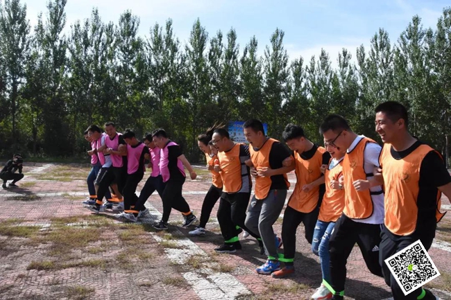 拓展訓(xùn)練活動(dòng) 拓展訓(xùn)練活動(dòng)