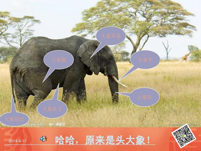 拓展訓(xùn)練活動 拓展訓(xùn)練活動