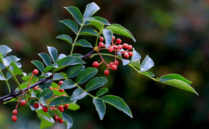 拓展訓練 拓展訓練