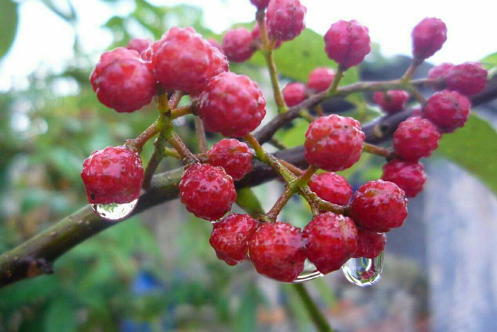 北京拓展訓練 北京拓展訓練