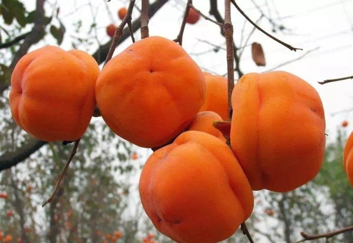 團(tuán)隊(duì)拓展訓(xùn)練