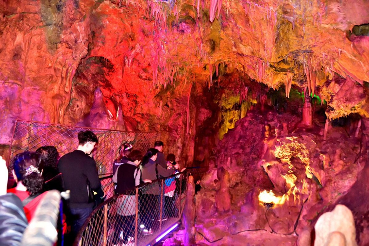 拓展訓練 拓展訓練