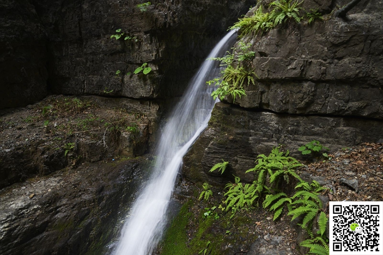 野三坡拓展訓(xùn)練 野三坡拓展訓(xùn)練