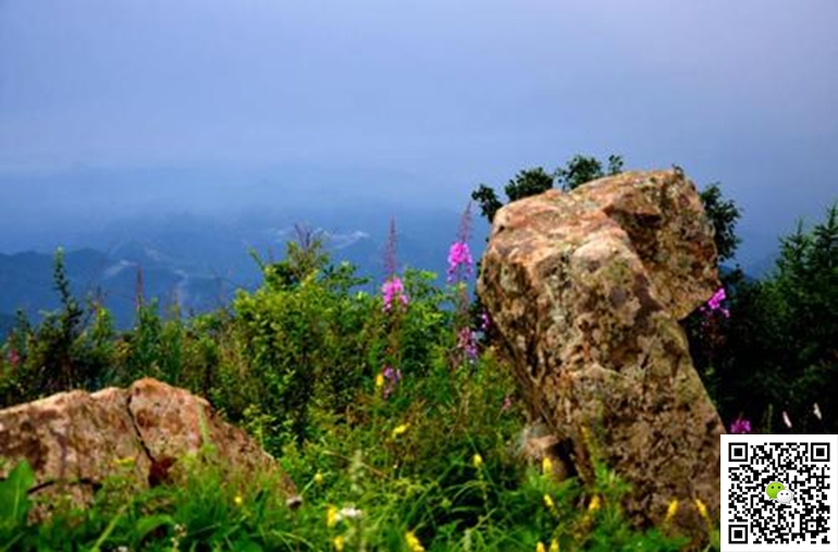 1616137236236780.jpg 圖片24.jpg